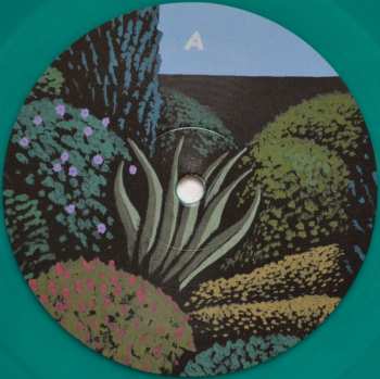 LP C Duncan: H·E·A·L·T·H LTD | CLR