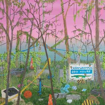 LP Caddywhompus: Odd Hours