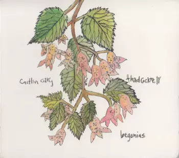 Begonias