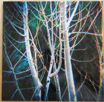 LP Campos: Umani, Vento E Piante