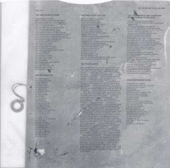 CD Captain Beefheart: Ice Cream For Crow LTD