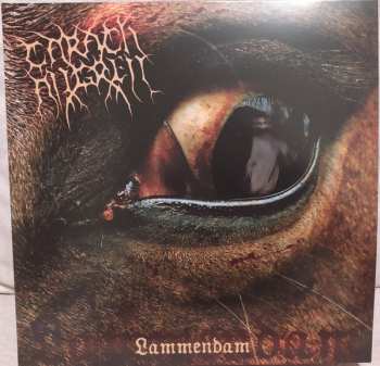 2LP Carach Angren: Lammendam CLR | LTD