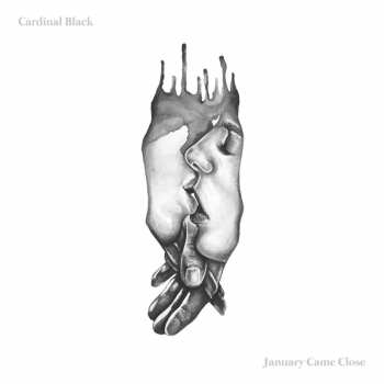 CD Cardinal Black: January came close