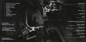CD Carl Verheyen: The Grand Design