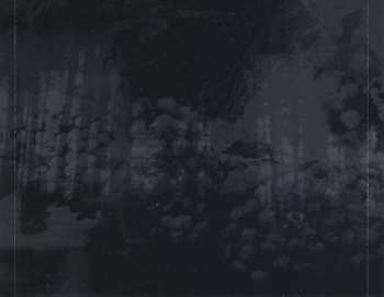 3CD/Set di cofanetti Carpathian Forest: The Fucking Evil Years