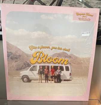LP Carpool Tunnel: Bloom LTD | CLR