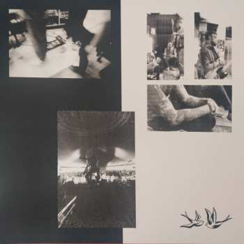 LP Casey: How To Disappear CLR | LTD