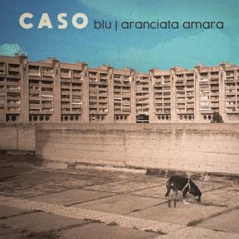 SP Caso: Blu / Aranciata Amara CLR