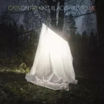 Cats On Fire: All Blackshirts To Me