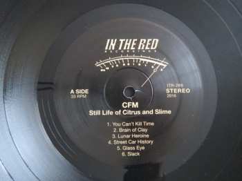 LP CFM: Still Life Of Citrus And Slime