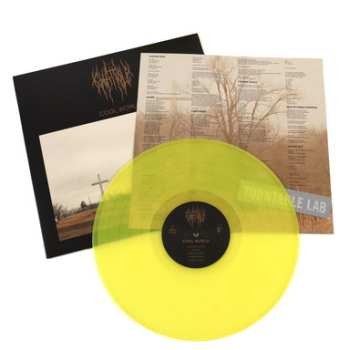 LP Chat Pile: Cool World CLR | LTD