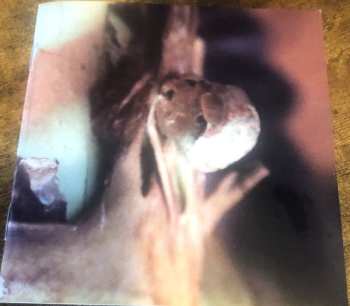 2CD/Set di cofanetti Ches Smith: Path Of Seven Colors