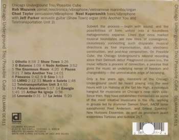 CD Chicago Underground Trio: Possible Cube