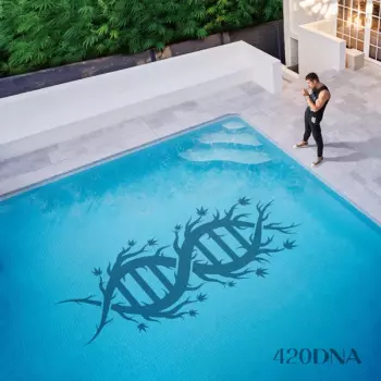 ChillinIT: 420DNA