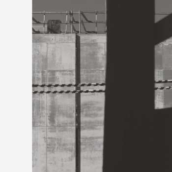 LP Chris Abrahams: Follower