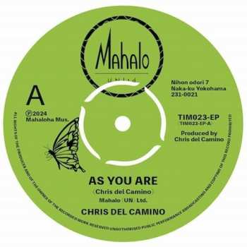 Album Chris del Camino: As You Are / Butterfly Monarch