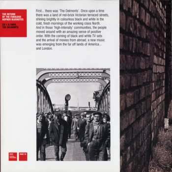 2LP/3CD/Set di cofanetti Chris Rea: The Return Of The Fabulous Hofner Bluenotes DLX