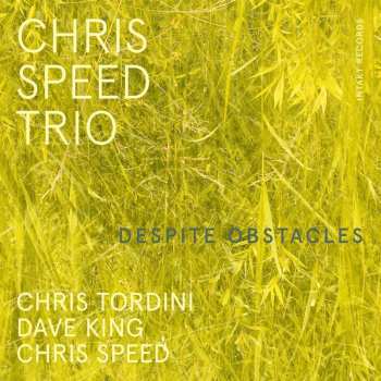 CD Chris Speed Trio: Despite Obstacles