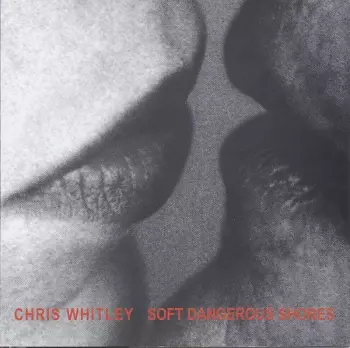 Soft Dangerous Shores