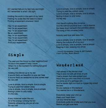 CD Christopher Cross: Secret Ladder