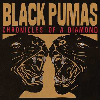 LP Black Pumas: Chronicles of a Diamond