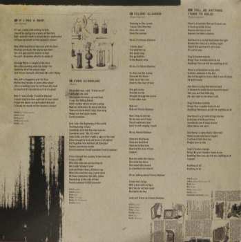 LP/CD Chuck Prophet: Night Surfer