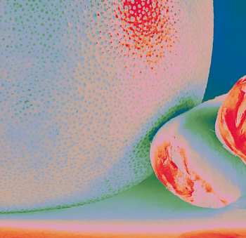 LP Citrus Citrus: Albedo Massima LTD