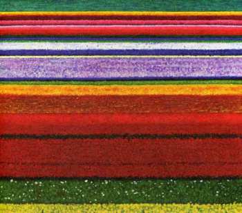 CD/DVD City And Colour: Little Hell