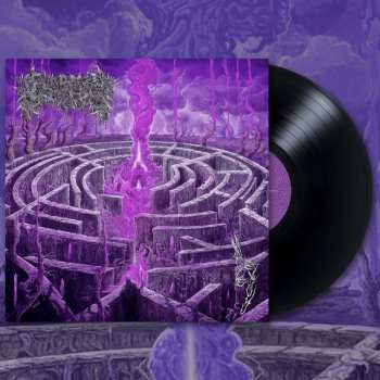LP Civerous: Maze Envy LTD