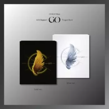Go Chapter 1: Go Together