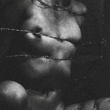 CD Clavicvla: Degeneracy of the 5th Density