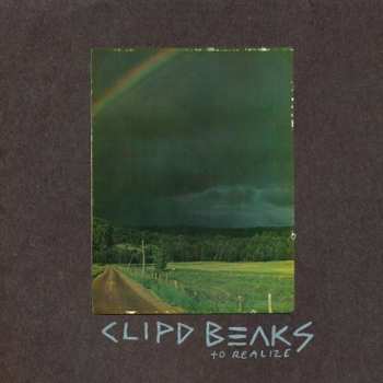 CD Clipd Beaks: To Realize