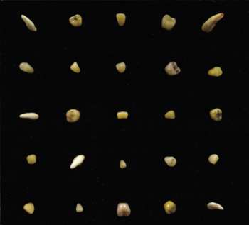 CD Clipping.: Visions Of Bodies Being Burned