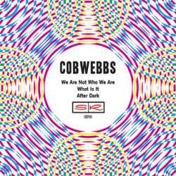 Album Cobwebbs: We Are Not Who We Are / What Is It / After Dark