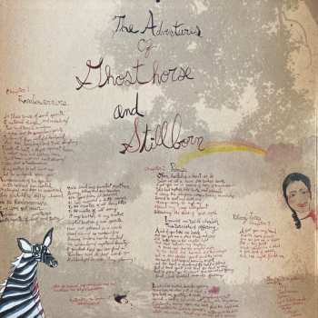 LP CocoRosie: The Adventures Of Ghosthorse And Stillborn