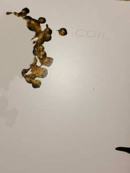 2LP Coil: The Ape Of Naples