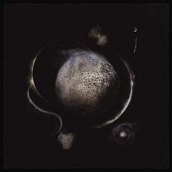 LP Enthroned: Cold Black Suns