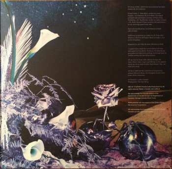 LP Cold Specks: Fool's Paradise