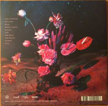 LP Cold Specks: Fool's Paradise