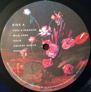 LP Cold Specks: Fool's Paradise