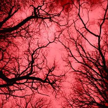 Album Fabrizio Spera: Red Planet