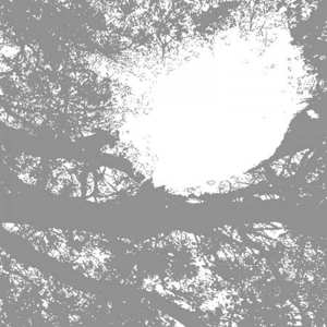 LP Comets On Fire: Field Recordings From The Sun