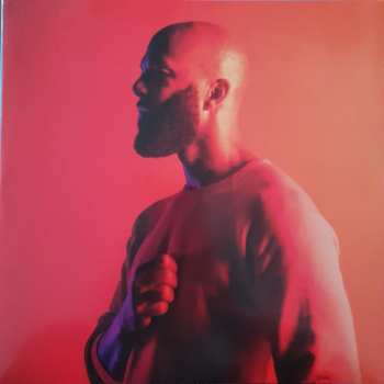 LP Common: A Beautiful Revolution (Pt 1) CLR