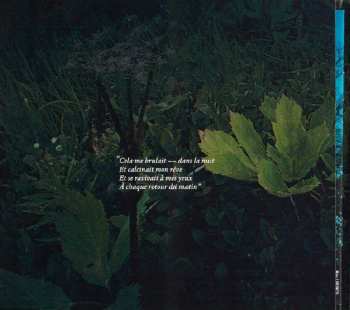 CD Complot Bronswick: Dickinson