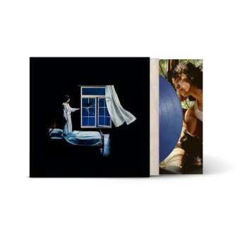 LP Conan Gray: Wishbone