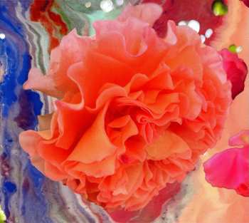 Album Conic Rose: Heller Tag