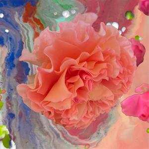LP Conic Rose: Heller Tag