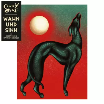 Wahn Und Sinn