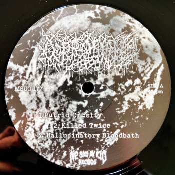 LP Coprolith: Coprolith