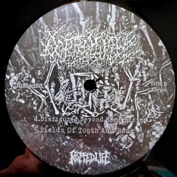 LP Coprolith: Coprolith